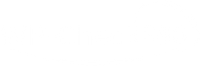 WP-Check360